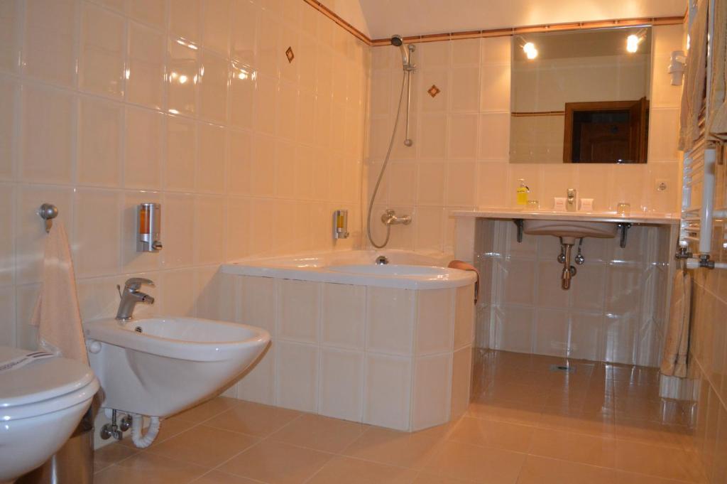 Hotel Complex Bahus Uzhhorod Bilik gambar